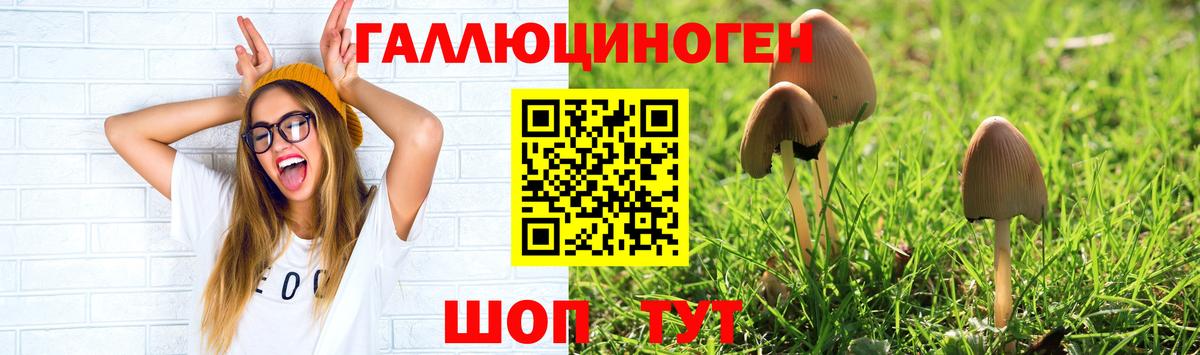 Шебекино  Галлюциногенные грибы ЛСД  Вход с VPN 